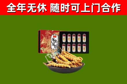 金堂县回收冬虫夏草价格
