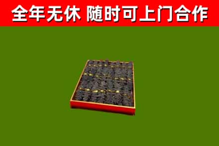 金堂县回收海参